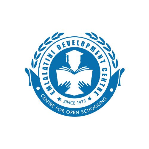 National Maize logo